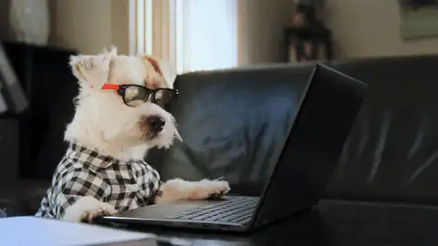 Is Your Survivor Database Secure? The 8 Essential Questions to Ask