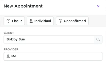 StriveDB appointment form showing fields for duration, type, status, and provider selection