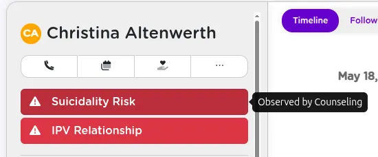 Client flags displayed prominently at the top of a client profile, showing color-coded labels for active safety concerns