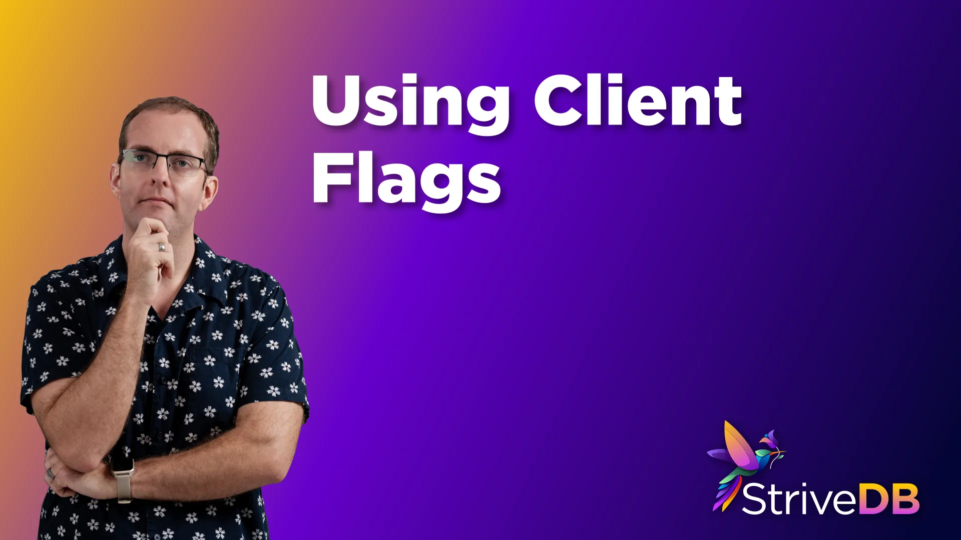 Using Client Flags in StriveDB